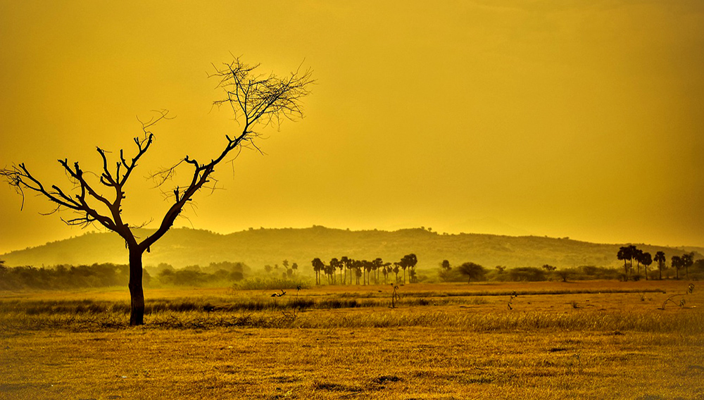 Las temperaturas terrestres están aumentando 20% más rápido que lo que se había registrado en la historia de nuestro planeta. Pixabay