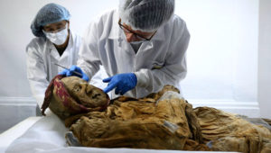 El científico francés Philippe Charlier realiza estudios de la "momia de Guano", este miércoles en Quito (Ecuador). EFE