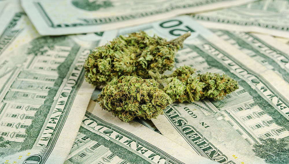 Marijuana buds on US currency. | Paul Geilfuss/Shutterstock