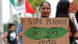 Mariana Azpeitia, a farm worker from Mexico, holds the flag of Mexico and a sign in Spanish that say "Without hands there are no beans" as she demonstrates in front of the Homestead, Fla., City Hall building Monday, May 1, 2017. (AP Photo/Wilfredo Lee)