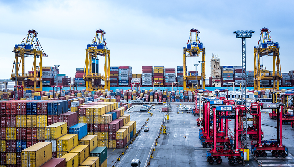 PHOTO: Bernd Langer | momentkonserve-Bremen