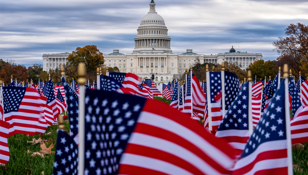 Miniature American flags flutter in wind gusts across the National Mall near the Capitol in Washington, Monday, Nov. 10, 2025. (AP Photo/J. Scott Applewhite)