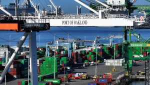 Photo: Justin Sullivan/Getty Images