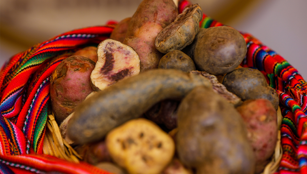 Photo: Midagri Peru on Flickr.