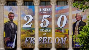 Banners hang from the United States Department of Agriculture as workers continue to build out Freedom 250's Great American State Fair infrastructure on the National Mall in Washington, D.C., on May 14, 2026, in Washington, D.C. Andrew Harnik—Getty Images
