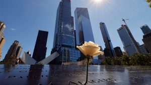 A rose stands on the 9/11 Memorial for the North Tower in front of 3 and 4 World Trade Center. Gary Hershorn / Getty Images